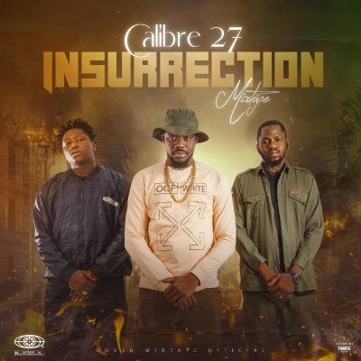 Calibre 27  Album: Insurrection Le groupe CALIBRE 27 nous sort leur toute nouvelle mixtape "INSURRECTION", composée de 9 titres et mélangeant différents styles de rap.
Comme à leur habitude, "Tchèkoumaba saba" ont mis la barre très haut avec cette mixtape!